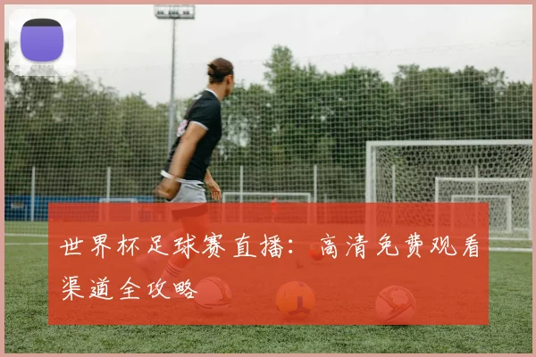世界杯足球赛直播：高清免费观看渠道全攻略