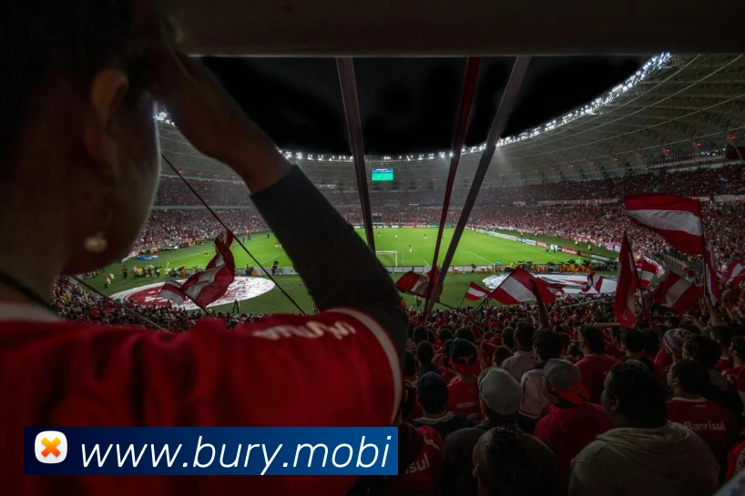 开云官方登陆入口平台生态图