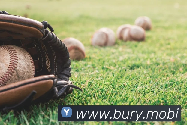 开云官方登陆入口APP 封面图